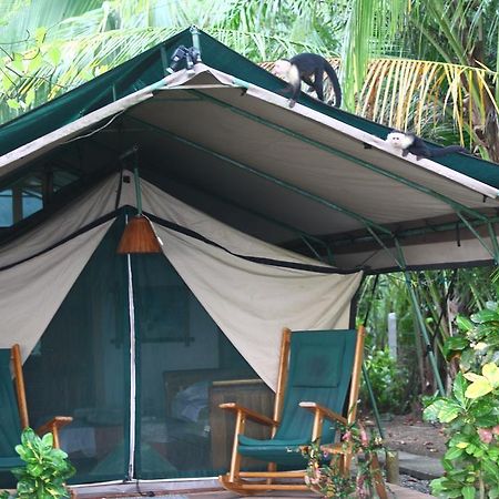 Rafiki Beach Camp Matapalo  Экстерьер фото