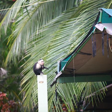 Rafiki Beach Camp Matapalo  Экстерьер фото