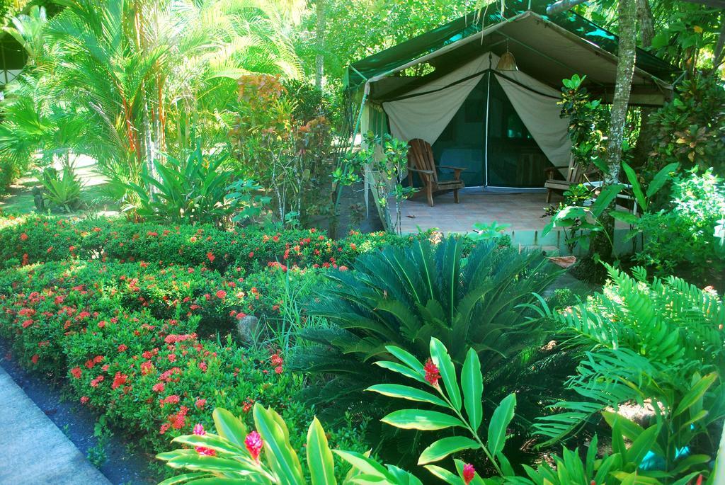 Rafiki Beach Camp Matapalo  Номер фото