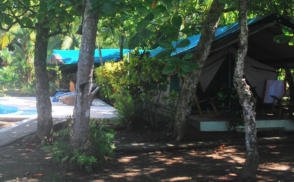 Rafiki Beach Camp Matapalo  Номер фото