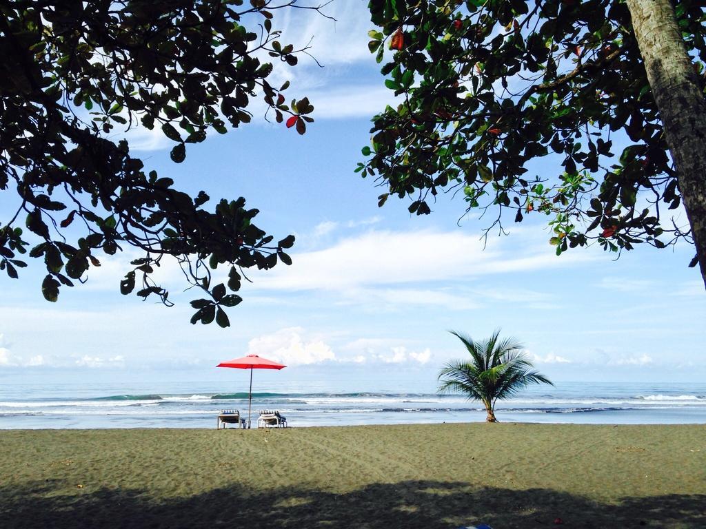 Rafiki Beach Camp Matapalo  Номер фото